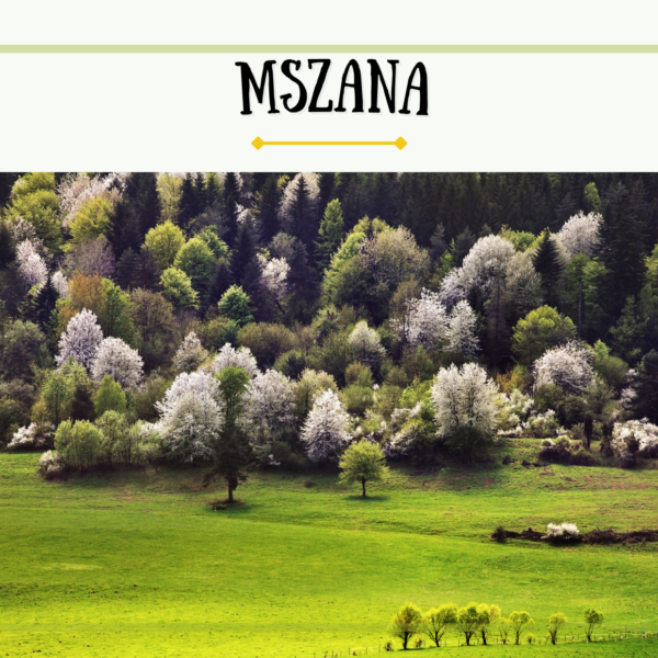 Mszana